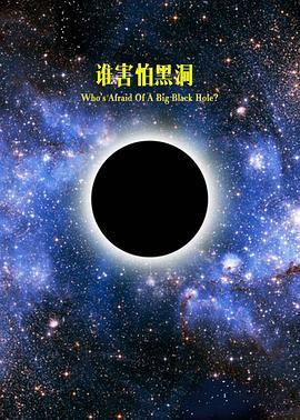 地平线系列：大黑洞的恐惧